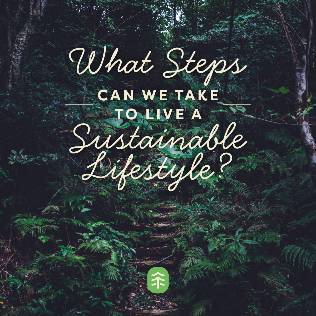 Giving Back: TreeEra Guest Blog Post