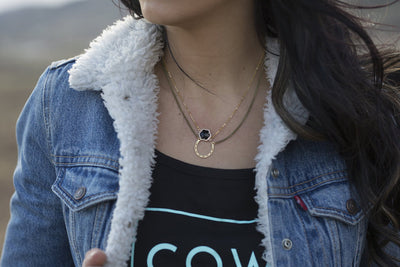 Horseshoe Necklace